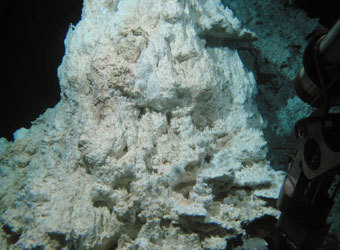   " ",    EurekAlert.org