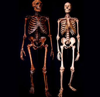      ,    livescience.com