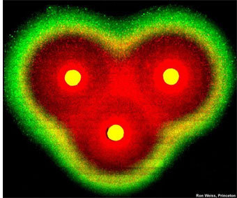 ,  "" .  - LiveScience.com