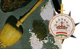           .    www.nationalfamilies.org 