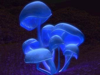    digitalblasphemy.com 