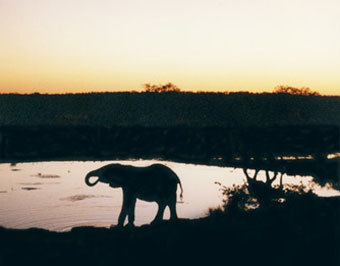    carnets.tourdumonde.be