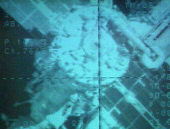  " -53"   19  2005 ,     ""