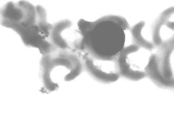  Pelagibacter ubique,    osu.orst.edu