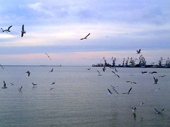      ,    stridmann.narod.ru