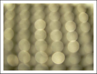     newton-i.usefilm.com