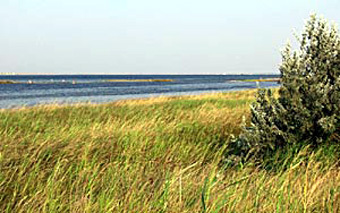  ,   info.crimea-portal.gov.ua