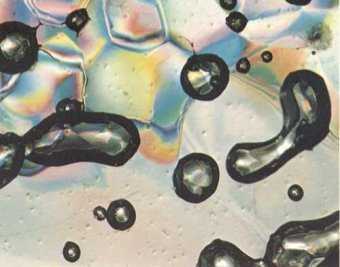    ,    newscientist.com