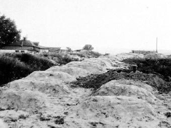    .    golodomor.org.ua