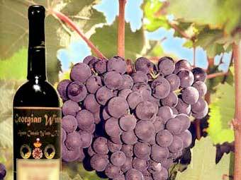 Фото с сайта kst-georgian-wines.com Фото с сайта kst-georgian-wines.com