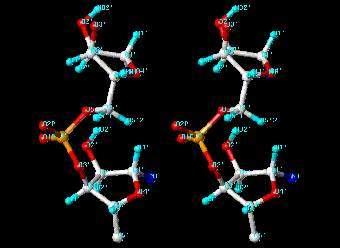   ,    gibk26.bse.kyutech.ac.jp