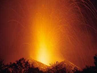  .    dipbot.unict.it.