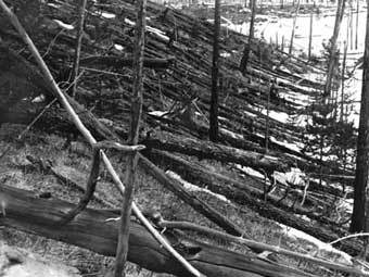     5    .  1929 .    Tunguska.ru