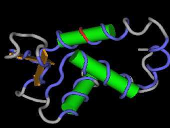       FOXP2,     .    ox.ac.uk. 