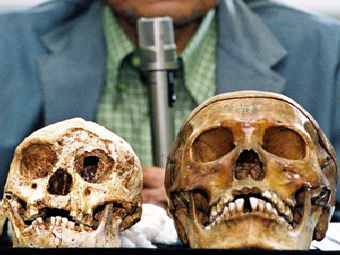 :   ""(Homo floresiensis),  -  .  AFP. 