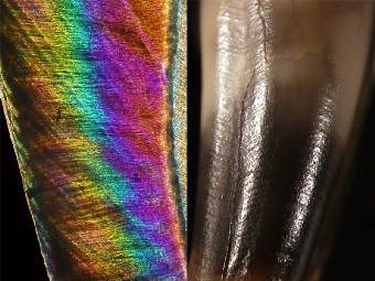     ()   ()   .    mpg.de.