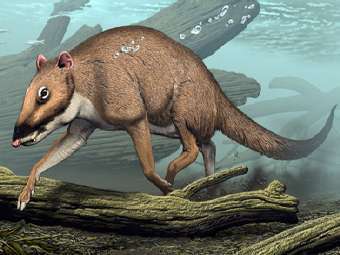 ���������� ����������� �����. ����������� ������� ������������. 