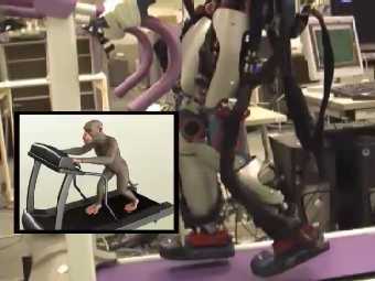 ���� �� �������, ��������� ������� ����� ������. ���� � ����� jst.go.jp. 