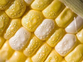 ����   Photos.com/Cube