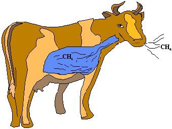 ������� �������� �� ��� �������� � ��������� ����� 100 �������� ������. ������� � ����� epa.gov.