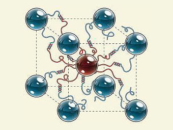 ��������� ���, �������������� � ������������, ��������� ������������ ��������� �������. ����������� ������� Nature