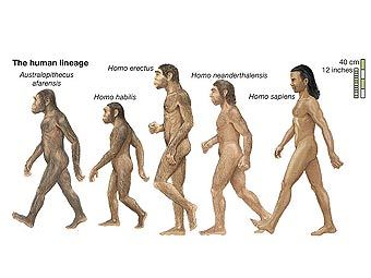 ����������� � ����� eb.com