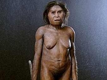 ������������� ��������� H. floresiensis, ��������� �� ���������� �������. �����������, ���������� AFP