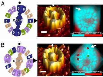 ������ �������: ���������� �������� �������������� ������. ������ �������: ����������� ���������������� ��������� ���������, ���������� c ������� ���. ������: ������������� ������������� ��������� ������. ����������� �� ������ ��������������. 