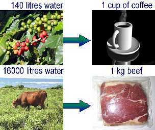 ��� ������������ ����� ����� ���� ����� 140 ������ ����, ������ ���������� ��������   16 ����� ������ ����. ����������� � ����� ihp.bafg.de. 