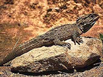 ��������. ���� ������������ ������ ��������� �������� ����� ��������