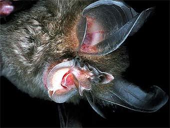 ������� ����. ���� � ����� scienceblogs.com