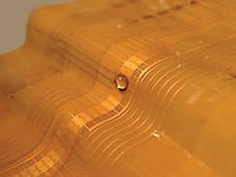 ����� "����������� �� ��������". ����������� �� ������ ������� ������������