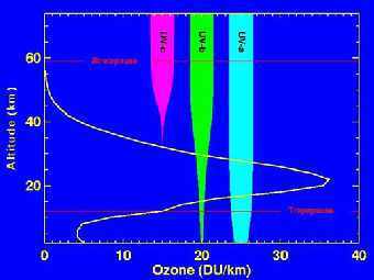 ����������� ���������� ����� �� ������ � ������� ���������� �� ����������������� ��������� ��������� ����������. ����������� NASA. 