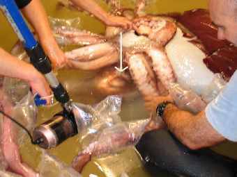 ����� ����� �������� � ������� ��������� ������. ���� � ����� ����� "�� ����".