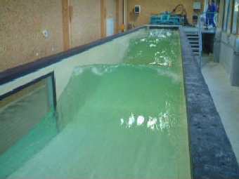 ��������� ���� � ����������� GENIMAR. ���� �� ����������� � ����� �����������. 