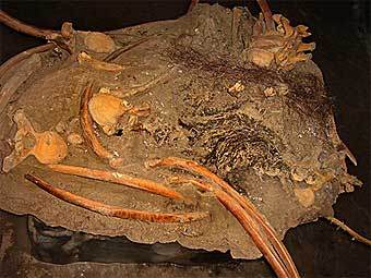 ��������� ������� ������� � ����� �� ���������� ��������, ������������ � ������. ����  Khatanga Mammoth Museum