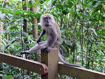 ������������� ������. ���� � ����� moe.edu.sg