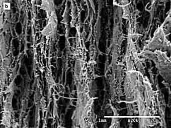 ���������� ����������� ������� ������� ���������. ���� ������������� ����������� ��������