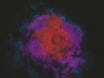 ������� ��� ������ ����, �� �������� � ������� ������ ������������ ������. ����������� University of Utah