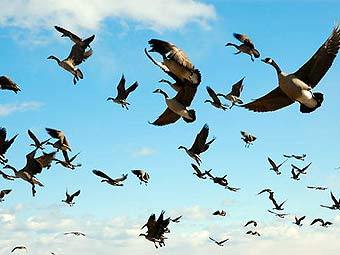 ���� �����. ���� ������������ CanadianMaps.ca � ����� panoramio.com