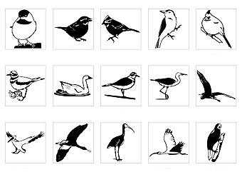 ����������� � ����� clipartlab.com