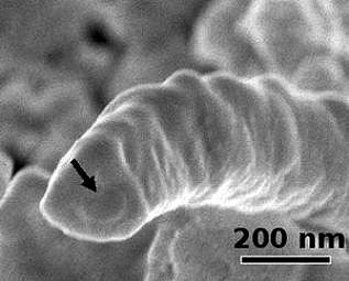 ����������� ����������� ������� ������������� �� GeTe/Ge2Sb2Te5 (�������� ������� Ge2Sb2Te5 ���������� �������), ���������� � ������� ������������ ����������. ���� ������� ������������.