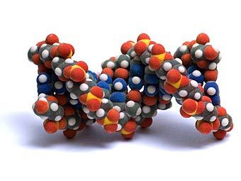 ������ �������� ���. ���� � ����� visualscience.ru