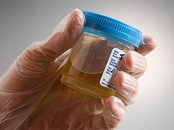 ������� ����. ���� � ����� premierintegrity.com