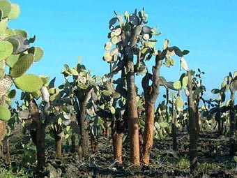 ������� �� ������������� ��������. ���� � ����� uhs.kiev.ua