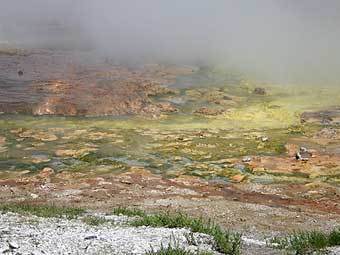 �����-���������, ������� ����� � ��������. ���� ������������ Wingchi � ����� wikipedia.org