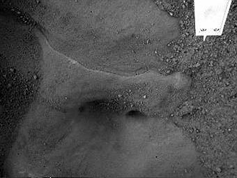 "������� ��������". ���� NASA/JPL-Caltech/University of Arizona/Max Planck Institute