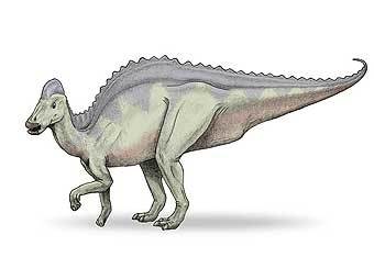 Hypacrosaurus. ����������� ������������ Laikayiu � ����� wikipedia.org