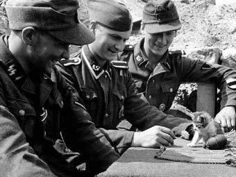  20-   SS.    dws-xip.pl