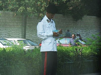   .   Paralingua   wikipedia.org